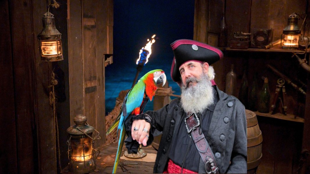 Pirate and his Parrot